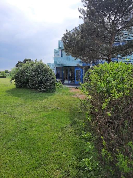 Erdgeschoss-Wohnung Nahe Am Meer Cadzand Dış mekan fotoğraf